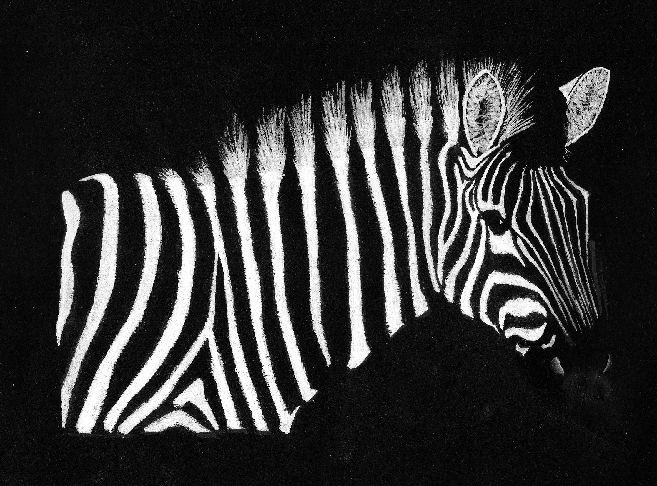 Alguien ve la Zebra? | Manumug's Weblog